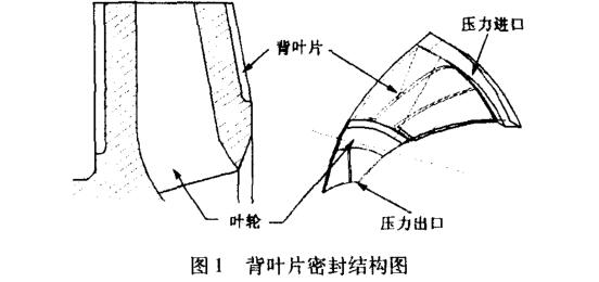 背葉片密封結(jié)構(gòu)圖